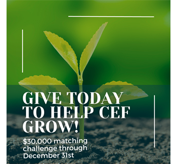 Donate to Summer Ministry